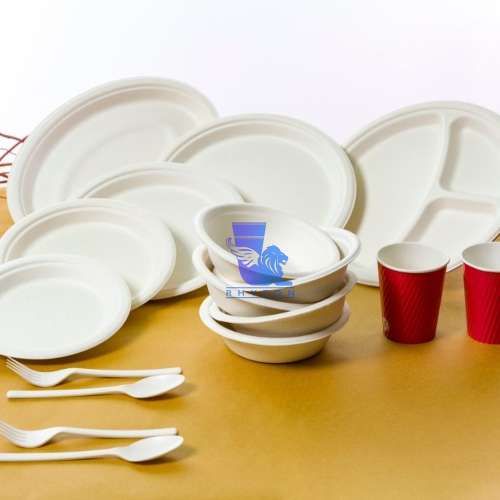 انتخاب ظروف کاغذی یکبار مصرف