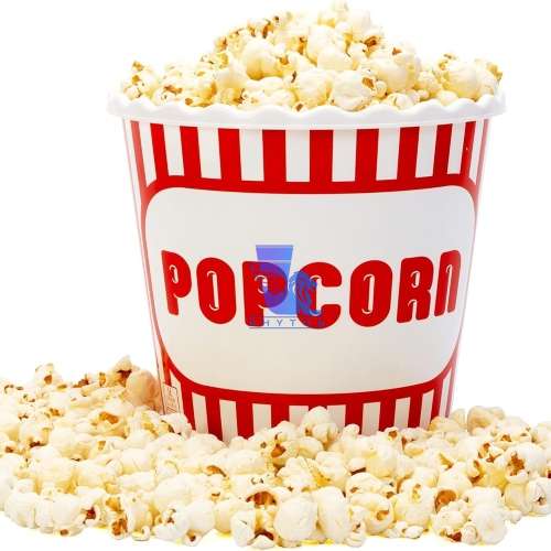 قیمت سطل کاغذی در کارخانه