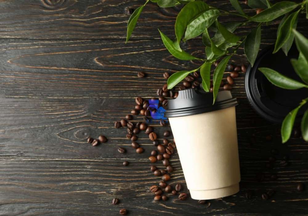 لیوان کاغذی دو جداره و تک جداره